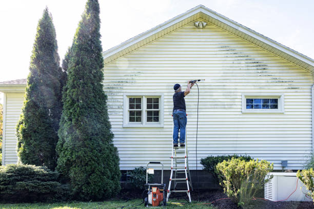 Best Gutter Cleaning  in Latrobe, PA